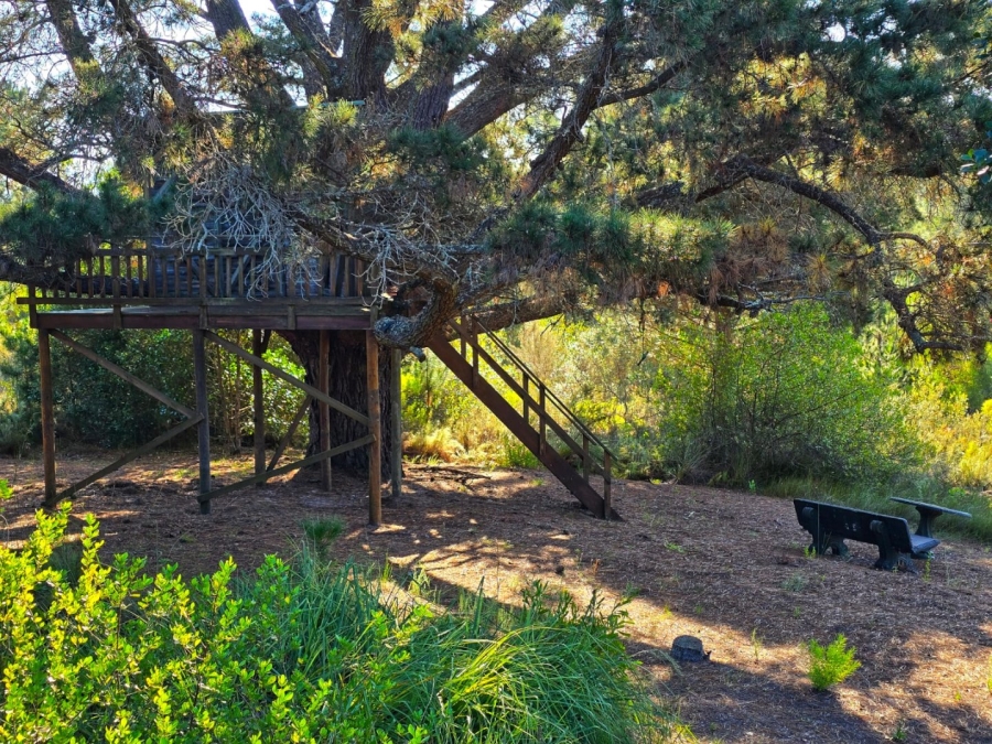 Commercial Property for Sale in Sedgefield Rural Western Cape